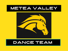 METEA VALLEY DANCE TEAM